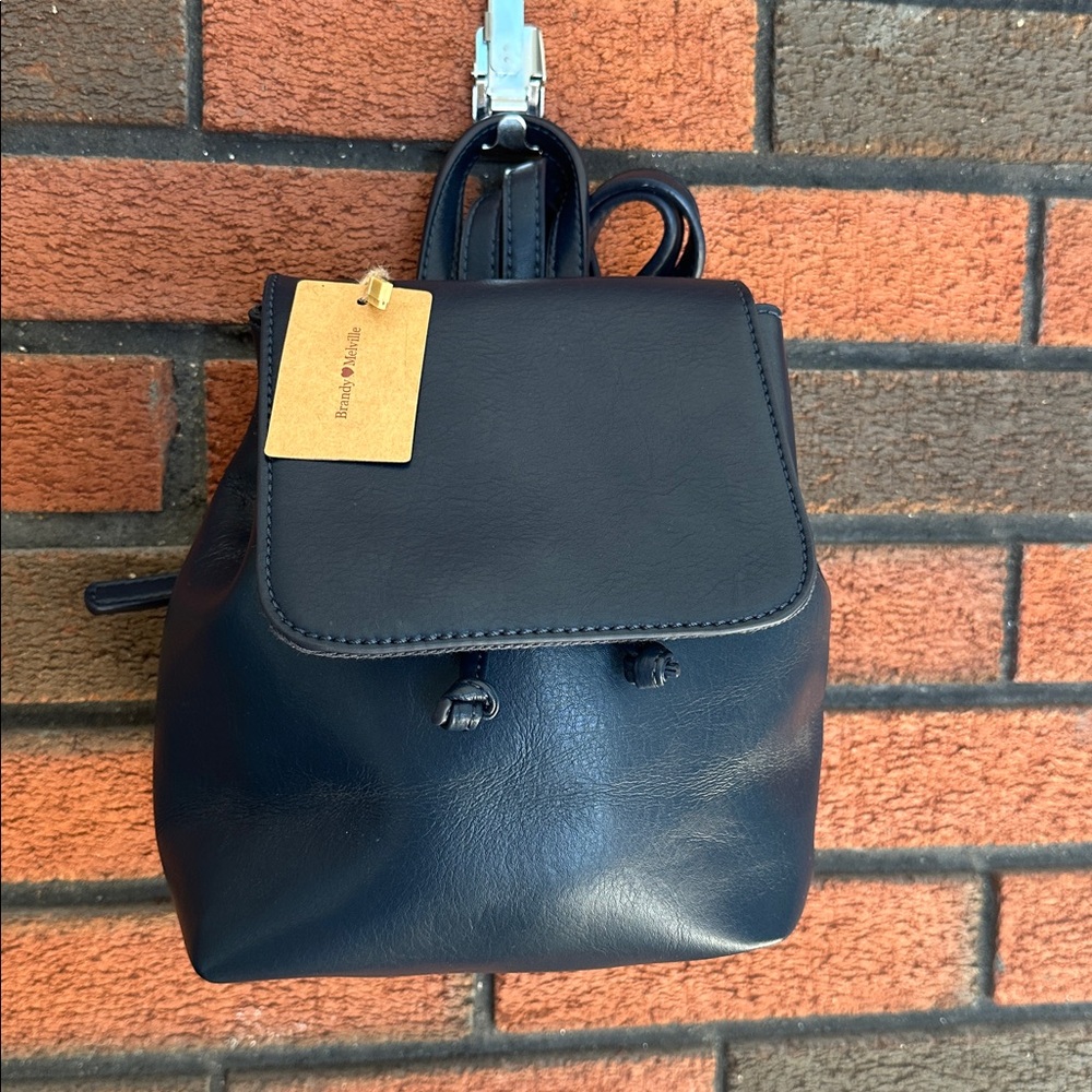 Brandy Melville Black Leather Mini Backpack